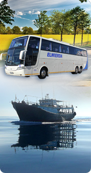 Saldanha collage